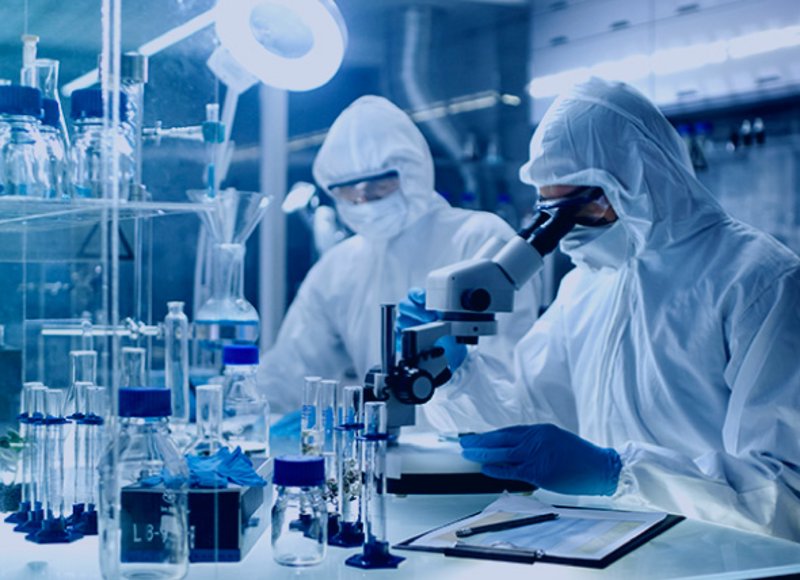 广州生物技术研发:从实验室到产业化的关键路径与实操要点